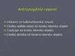 Referāts 'Tūrisms un tā iespējas Latvijas iedzīvotājiem', 40.
