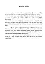 Referāts 'Cilvēku rašanās, dzīves stils, attīstība', 2.