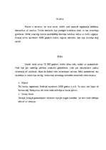 Referāts 'Cilvēku rašanās, dzīves stils, attīstība', 6.