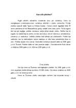 Referāts 'Cilvēku rašanās, dzīves stils, attīstība', 13.