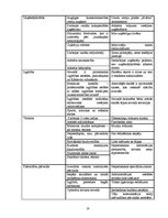 Prakses atskaite 'Prakses atskaite grāmatvedībā', 25.