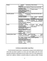 Prakses atskaite 'Prakses atskaite grāmatvedībā', 27.