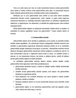 Prakses atskaite 'Prakses atskaite grāmatvedībā', 31.