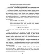 Prakses atskaite 'Prakses atskaite grāmatvedībā', 41.