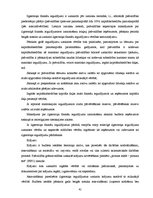 Prakses atskaite 'Prakses atskaite grāmatvedībā', 42.