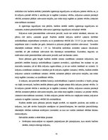 Prakses atskaite 'Prakses atskaite grāmatvedībā', 43.