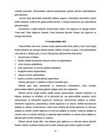 Prakses atskaite 'Prakses atskaite grāmatvedībā', 54.