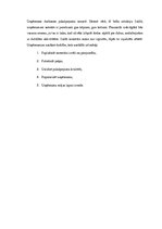 Biznesa plāns 'Aktīvās atpūtas inventāra noma', 4.