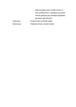 Biznesa plāns 'Aktīvās atpūtas inventāra noma', 6.