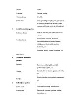 Biznesa plāns 'Aktīvās atpūtas inventāra noma', 8.