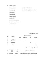 Biznesa plāns 'Aktīvās atpūtas inventāra noma', 9.