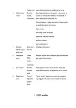 Biznesa plāns 'Aktīvās atpūtas inventāra noma', 10.