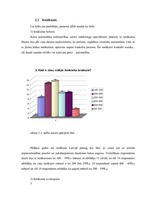 Referāts 'Auto zīmola nozīme un pircēja uztvere', 5.