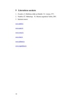 Referāts 'Auto zīmola nozīme un pircēja uztvere', 16.