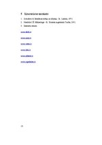 Referāts 'Auto zīmola nozīme un pircēja uztvere', 17.