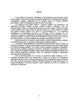 Referāts 'Fiziskās personas dokumentu noformēšanas prasības', 3.