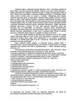 Referāts 'Fiziskās personas dokumentu noformēšanas prasības', 6.