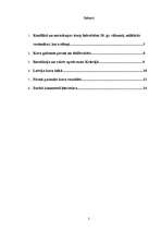 Referāts 'Pirmais pasaules karš', 2.