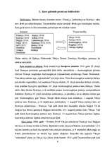 Referāts 'Pirmais pasaules karš', 6.