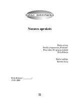 Referāts 'Nozares apraksts privātajam bērnudārzam', 1.