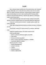 Referāts 'Nozares apraksts privātajam bērnudārzam', 3.