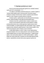 Referāts 'Nozares apraksts privātajam bērnudārzam', 4.