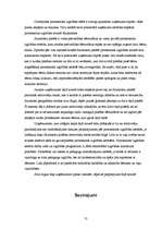 Referāts 'Nozares apraksts privātajam bērnudārzam', 13.