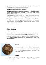 Referāts 'Keramika un ģeometriskie pārveidojumi', 7.