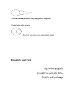 Referāts 'Keramika un ģeometriskie pārveidojumi', 14.