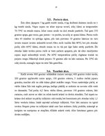 Referāts 'Alus ražošanas tehnika', 10.
