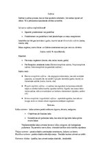 Konspekts 'Sajūtas', 1.