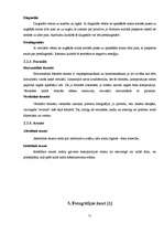 Referāts 'Fotogrāfijas attīstība Latvijā', 11.