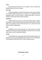 Referāts 'Fotogrāfijas attīstība Latvijā', 12.