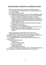 Referāts 'Pamatlīdzekļi', 4.