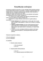 Referāts 'Pamatlīdzekļi', 6.