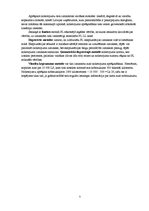 Referāts 'Pamatlīdzekļi', 7.