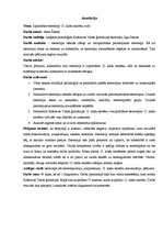 Referāts 'Izplatītākie stereotipi 12.klašu skolēnu vidū', 3.