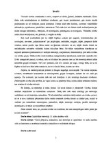 Referāts 'Izplatītākie stereotipi 12.klašu skolēnu vidū', 5.