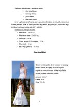 Biznesa plāns 'Biznesa plāns uzņēmumam SIA "Verona"', 8.