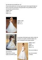 Biznesa plāns 'Biznesa plāns uzņēmumam SIA "Verona"', 9.