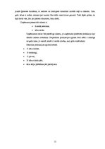 Biznesa plāns 'Biznesa plāns uzņēmumam SIA "Verona"', 12.