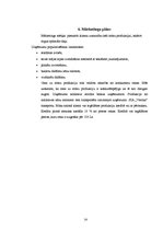 Biznesa plāns 'Biznesa plāns uzņēmumam SIA "Verona"', 14.