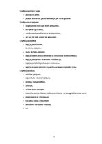 Biznesa plāns 'Biznesa plāns uzņēmumam SIA "Verona"', 17.