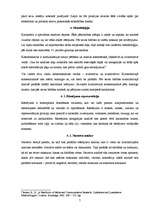 Referāts 'Karikatūra kā sociālo un politisko notikumu atspoguļotājs. 13.janvāra grautiņu p', 7.