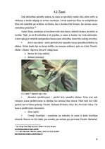 Referāts 'Anime subkultūra Latvijas teritorijā', 17.