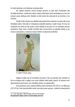 Referāts 'Anime subkultūra Latvijas teritorijā', 26.