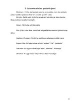 Referāts 'Anime subkultūra Latvijas teritorijā', 45.