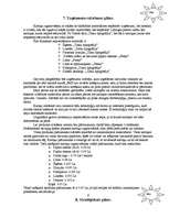 Biznesa plāns 'Biznesa plāns komercdarbībā', 15.