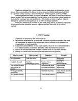 Biznesa plāns 'Biznesa plāns komercdarbībā', 16.