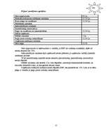 Biznesa plāns 'Biznesa plāns komercdarbībā', 19.